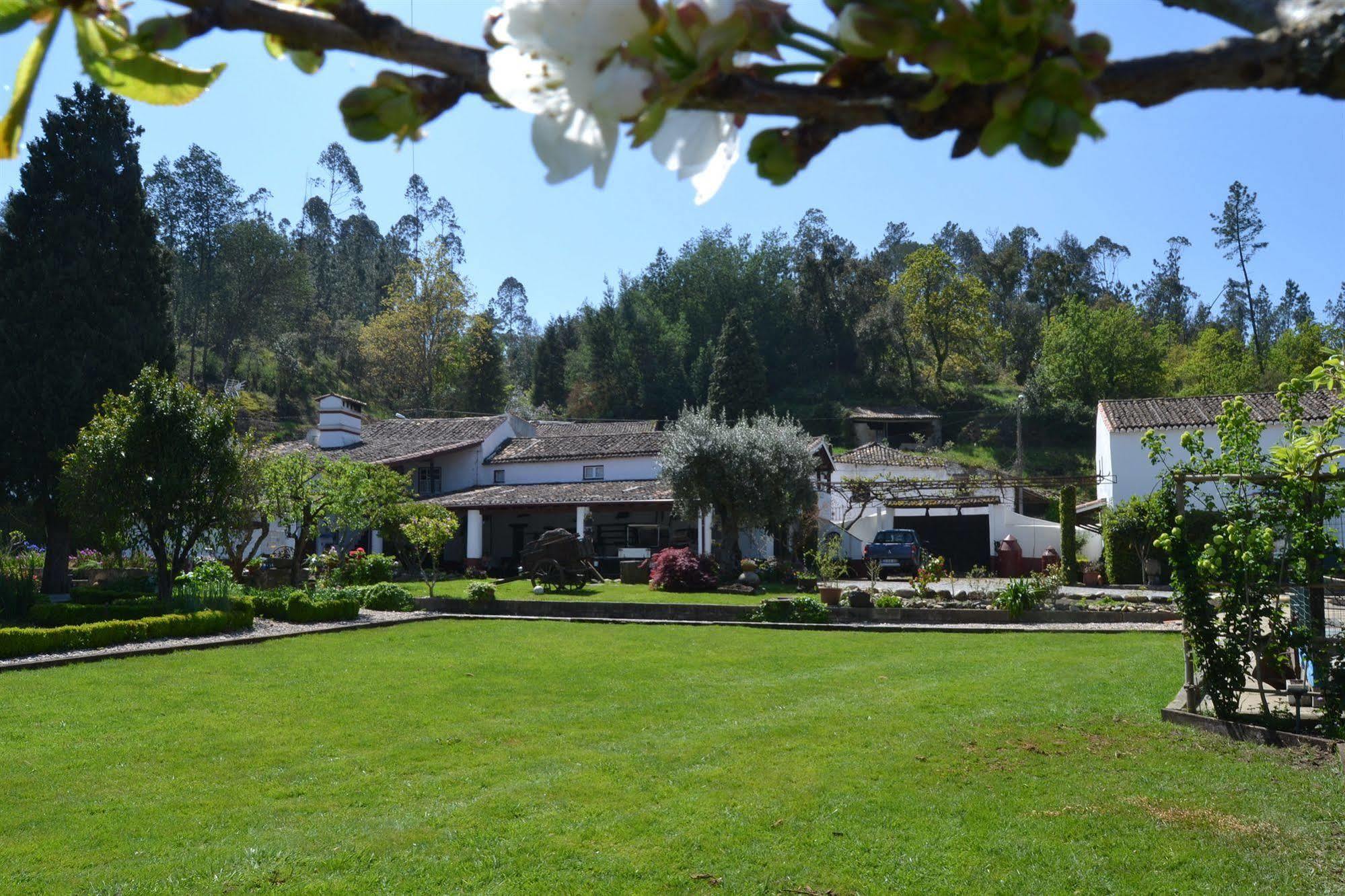 Quintal De Alem Do Ribeiro-Turismo Rural Lousa  Exterior photo